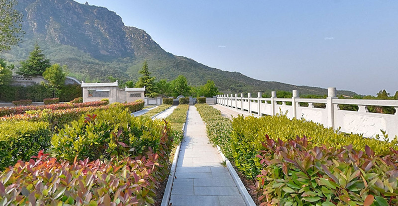 园区一角 园区一角