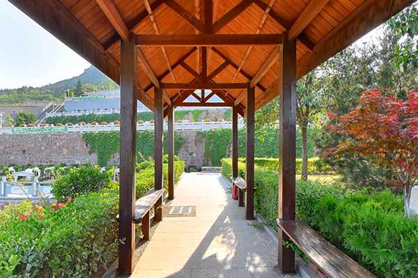 新郑始祖山塔陵园11月新风向：新增树葬、壁葬，高性价比诠释“归自然”